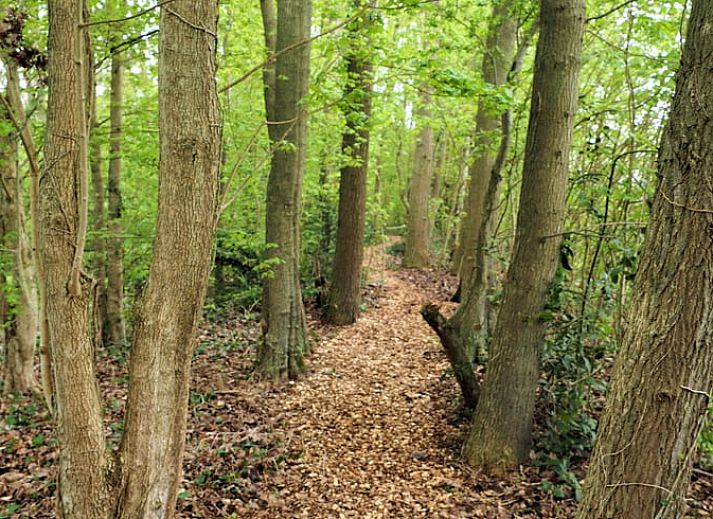 Vakantiehuisje in Harfsen met een rustieke veranda in de Achterhoek, Gelderland