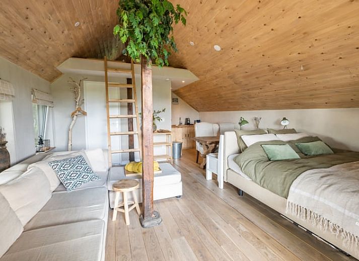 Bosrijk wandelpad nabij Vakantiehuisje in Harfsen, Gelderland