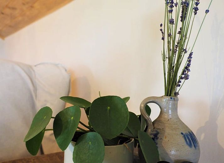 Charmante rieten dak van Vakantiehuisje in Harfsen, Achterhoek