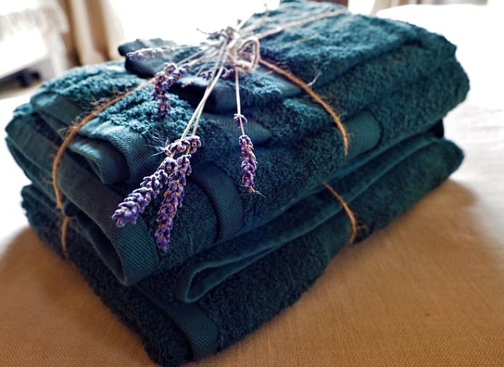 Houten terras bij Vakantiehuisje in Harfsen met uitzicht op de natuur