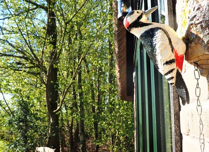 Uitzicht op grazende koeien vanaf het terras van Vakantiehuisje in Harfsen