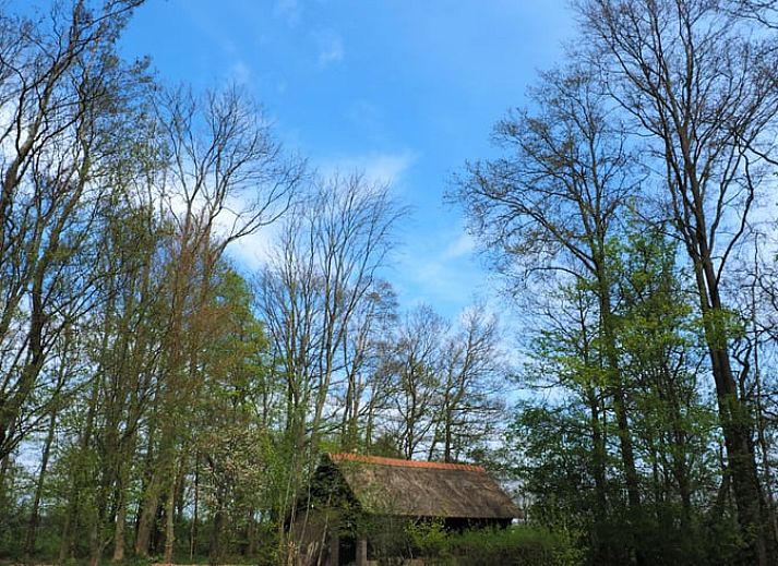 Gezellige binnenruimte van Vakantiehuisje in Harfsen, Achterhoek