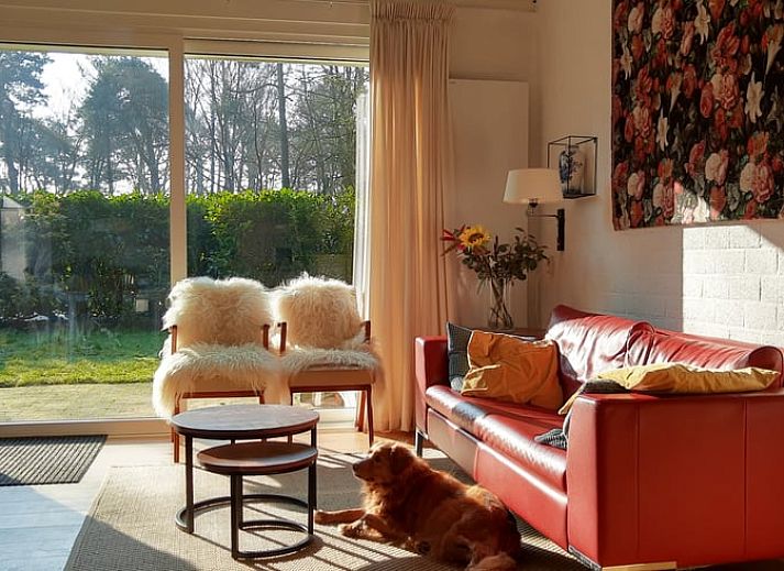 Ferienhaus in Harfsen mit Terrasse und gruenem Garten in Achterhoek, Gelderland.