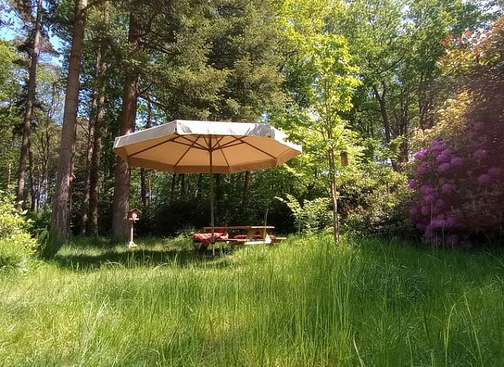 Moderne Kueche im Ferienhaus in Harfsen, Achterhoek, Gelderland mit Esstisch und Blumen.
