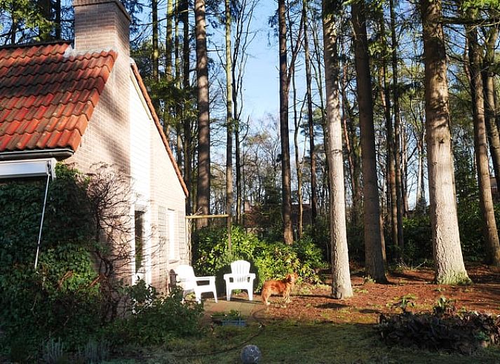 Gemuetliches Wohnzimmer im Ferienhaus in Harfsen mit Blick auf die Natur in Gelderland.