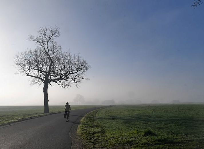 Gemuetliches Wohnzimmer im Ferienhaus in Harfsen mit Blick auf die Natur in Gelderland.