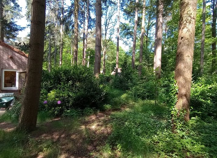 Stilvolles Badezimmer mit Dusche im Ferienhaus in Harfsen, Achterhoek, Gelderland.