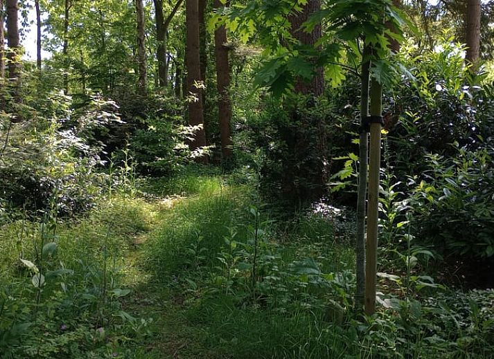 Stilvolles Badezimmer mit Dusche im Ferienhaus in Harfsen, Achterhoek, Gelderland.