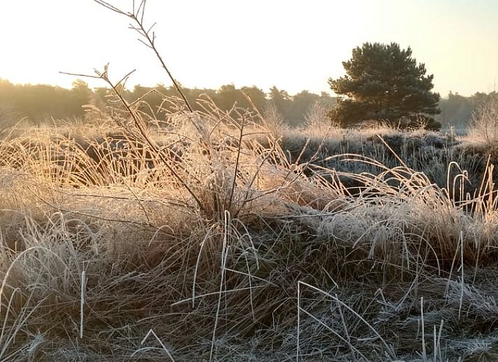 Stilvolles Badezimmer mit Dusche im Ferienhaus in Harfsen, Achterhoek, Gelderland.