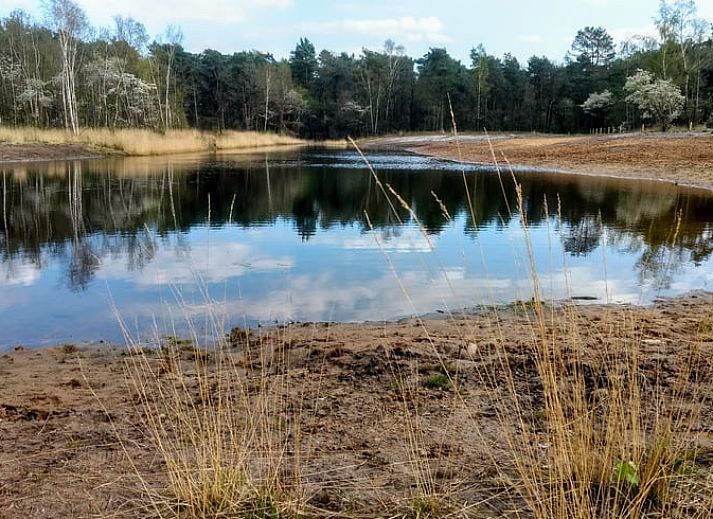 Unterkunft 292317 - Ferienhaus Achterhoek - Vakantiehuis in Harfsen
