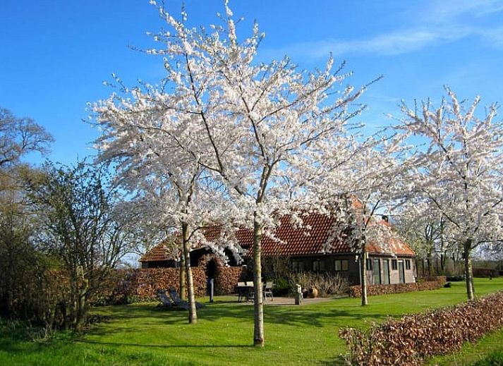 Verblijf 292318 • Vakantiewoning Achterhoek • Huisje in Harfsen 