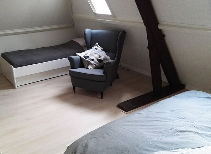 Entdecken Sie die Naturschoenheiten rund um das Ferienhaus in Harfsen, Achterhoek, Gelderland mit bunten Schmetterlingen im Garten.