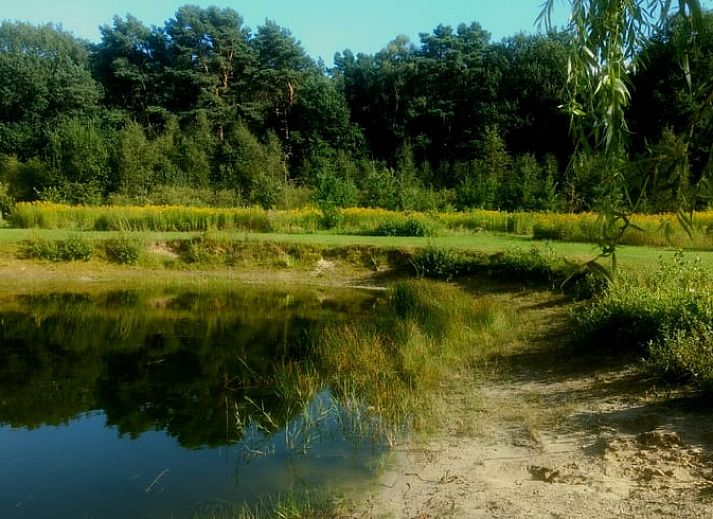 Gezellige woonkamer van Huisje in Harfsen, vakantiehuis in de Achterhoek, Gelderland, met modern interieur en uitzicht op de tuin.