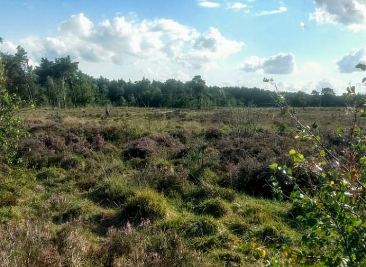 Gezellige woonkamer van Huisje in Harfsen, vakantiehuis in de Achterhoek, Gelderland, met modern interieur en uitzicht op de tuin.