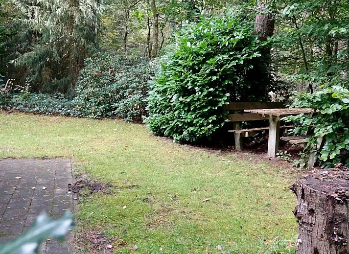 Guest house 292324 - Bungalow Achterhoek - Relaxen in het bos aan de hei - 152