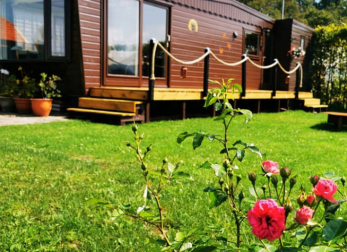 Unterkunft 292332 - Ferienhaus Achterhoek - Vakantiehuis in Harfsen