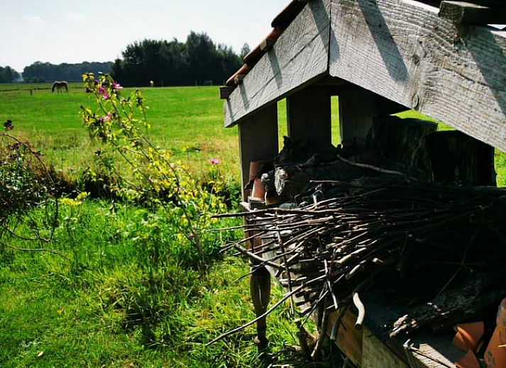 Unterkunft 292332 - Ferienhaus Achterhoek - Vakantiehuis in Harfsen