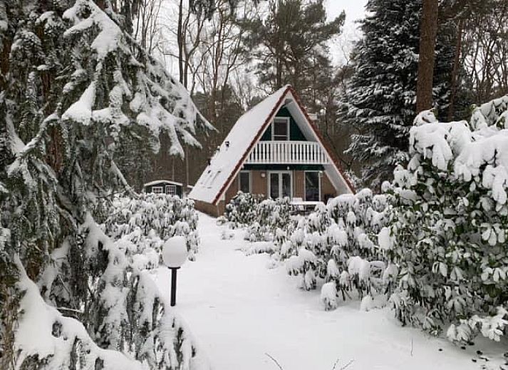 Ferienhaus DG1709 in Harfsen, Achterhoek, umgeben von Natur.