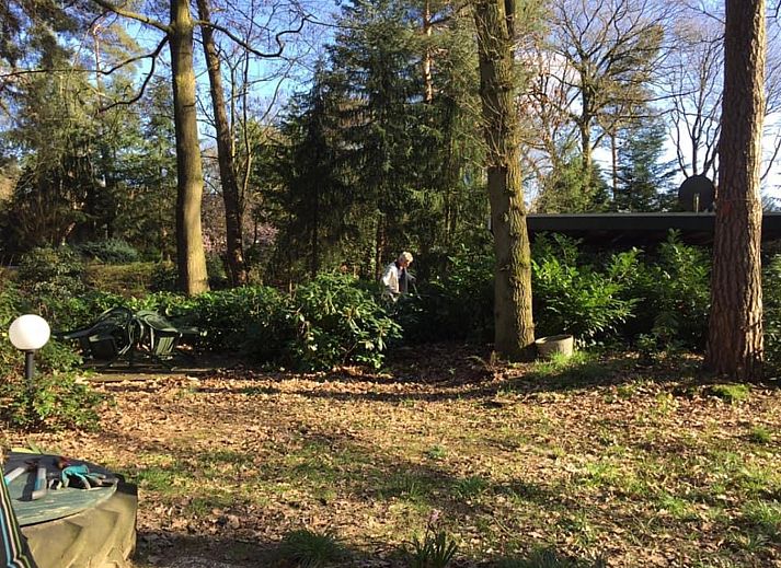 Schlafzimmer mit Einzelbett im Ferienhaus DG1709, Harfsen.