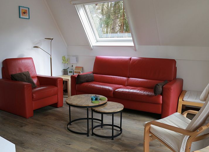 Gemuetliches Wohnzimmer im Ferienhaus DG1709, Harfsen.