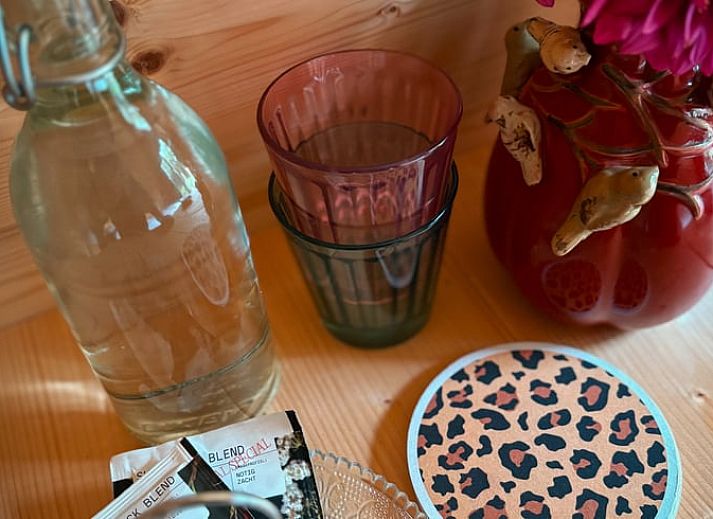 Verblijf 292336 - Vakantiewoning Achterhoek - Vakantiehuis in Harfsen