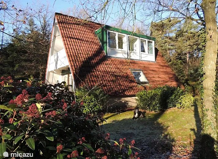 Guest house 292345 - Holiday property Achterhoek - Bungalow Motief