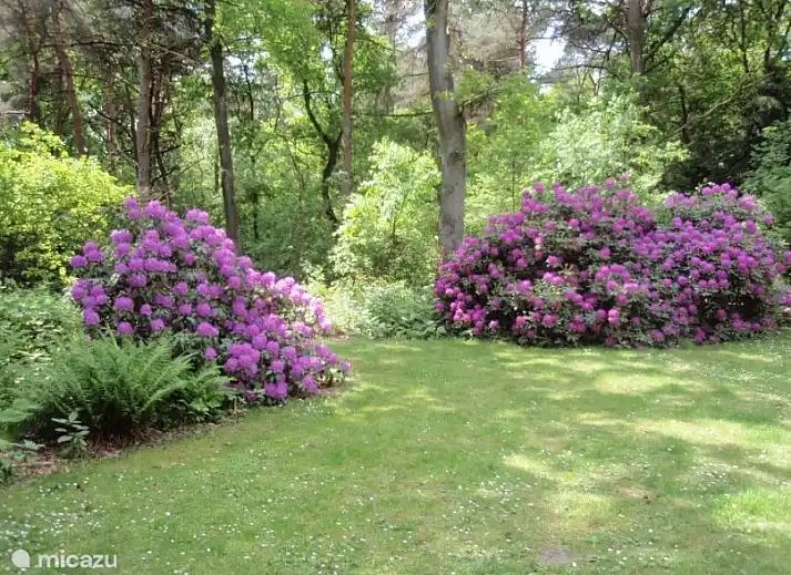 Verblijf 292348 - Bungalow Achterhoek - Heerlijk midden in de natuur! (102)