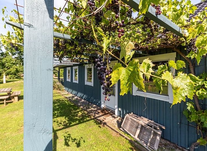 Unterkunft 292403 - Ferienhaus Achterhoek - Vakantiehuisje in Doesburg