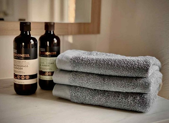 Cozy garden of vacation home DG1292 in Doesburg, Achterhoek, with terrace and green surroundings.