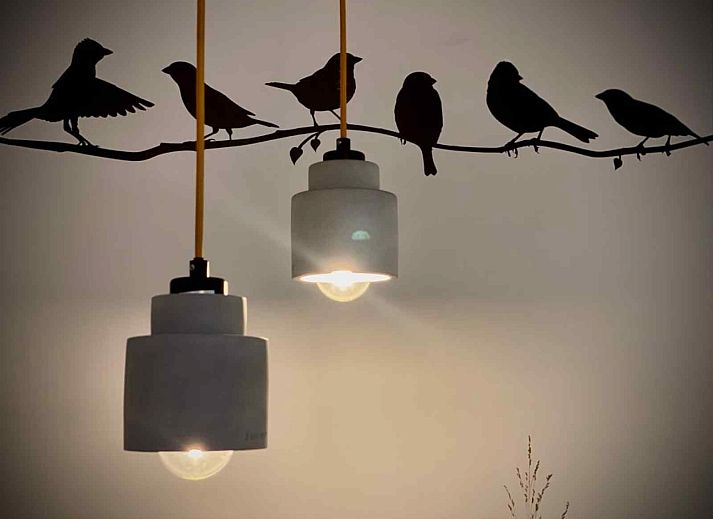 Decorative elements in vacation home DG1292 in Doesburg, Achterhoek, with art and nature theme.