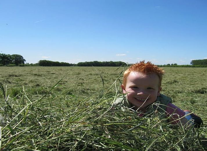 Spielplatz fuer Kinder im Ferienhaus in Didam, mit schoener Aussicht auf die gruenen Felder der Achterhoek.
