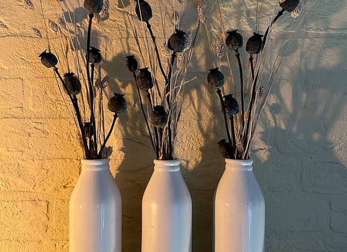 Gezellige zitplaatsen bij Vakantiehuisje in Hummelo, Achterhoek, Gelderland.