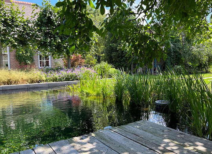 Ferienhaus in Hummelo mit sonniger Terrasse in Achterhoek, Gelderland.