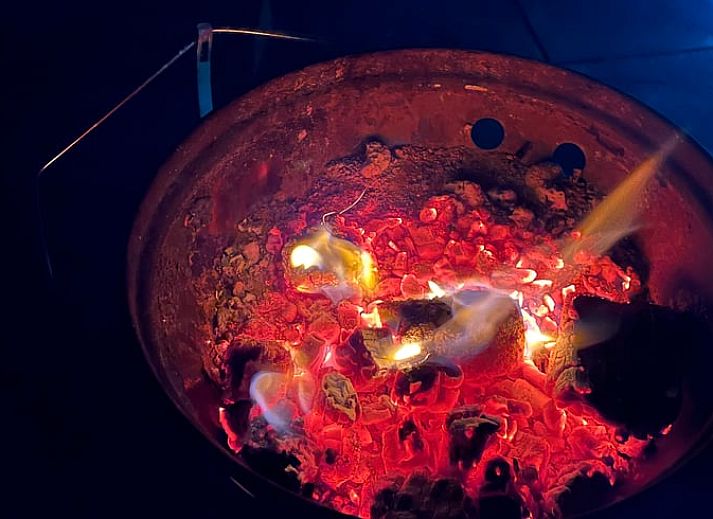 Gruene Umgebung beim Ferienhaus in Hummelo, Achterhoek, Gelderland.