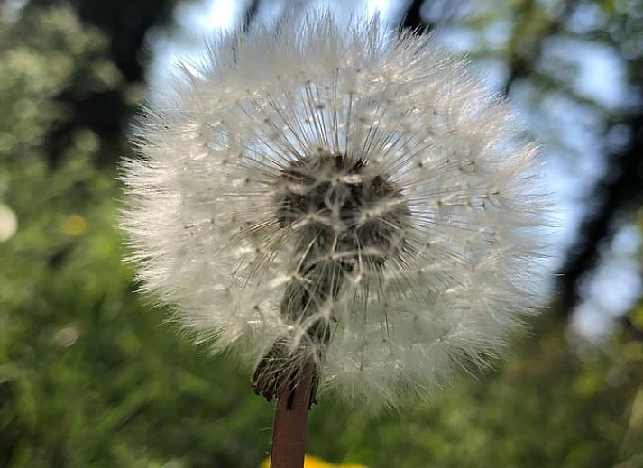 Gemuetliche Sauna im Ferienhaus in Hummelo, Achterhoek, Gelderland.