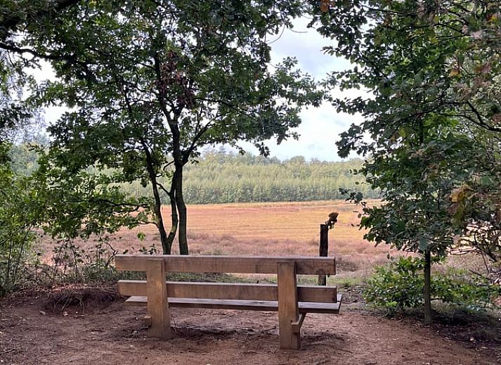 Sonnenverwoehnter Garten im Ferienhaus in Hummelo, Achterhoek.