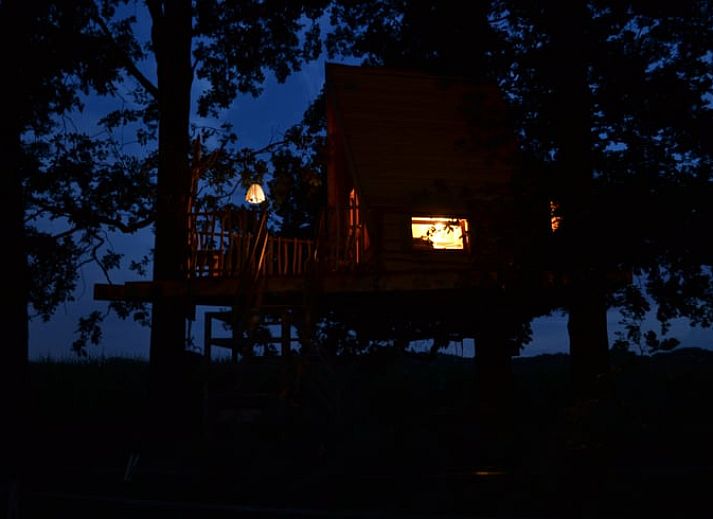 Guest house 293107 • Holiday property Achterhoek • Huisje in Haarlo