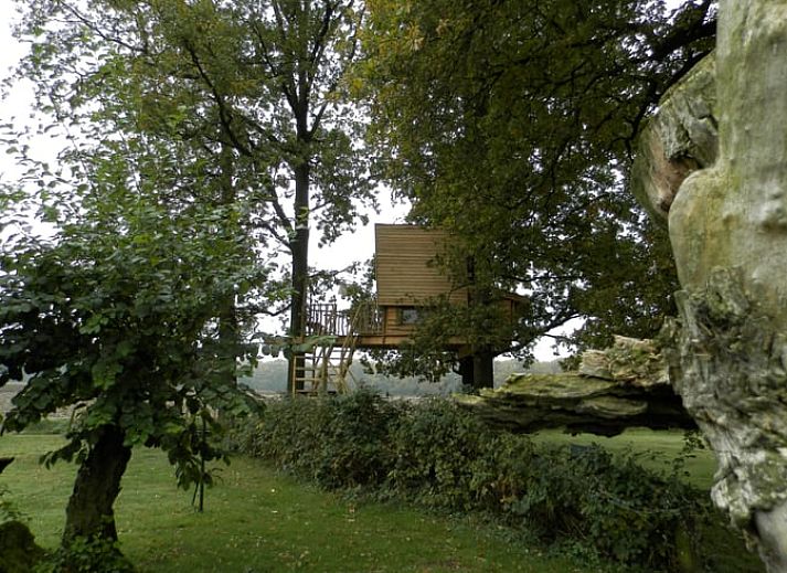 Beleuchtetes Baumhaus bei Nacht in Cottage in Haarlo, Ferienhaus in Achterhoek, Gelderland.