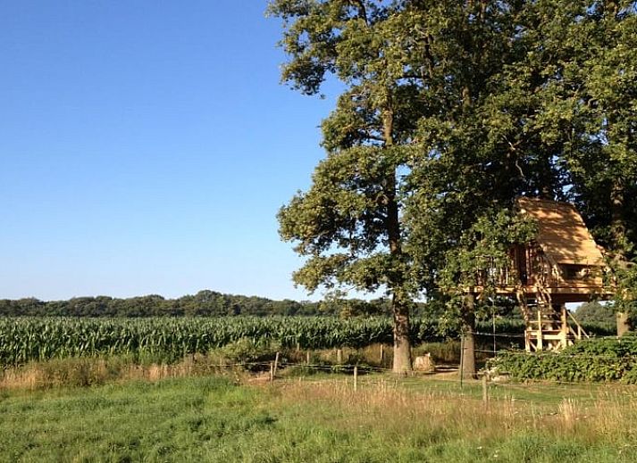 Beleuchtetes Baumhaus bei Nacht in Cottage in Haarlo, Ferienhaus in Achterhoek, Gelderland.