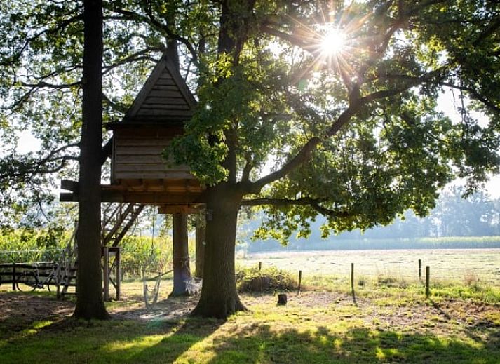 Beleuchtetes Baumhaus bei Nacht in Cottage in Haarlo, Ferienhaus in Achterhoek, Gelderland.