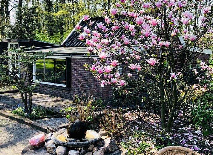 Vacation home in Haarlo surrounded by green nature in Achterhoek, Gelderland.
