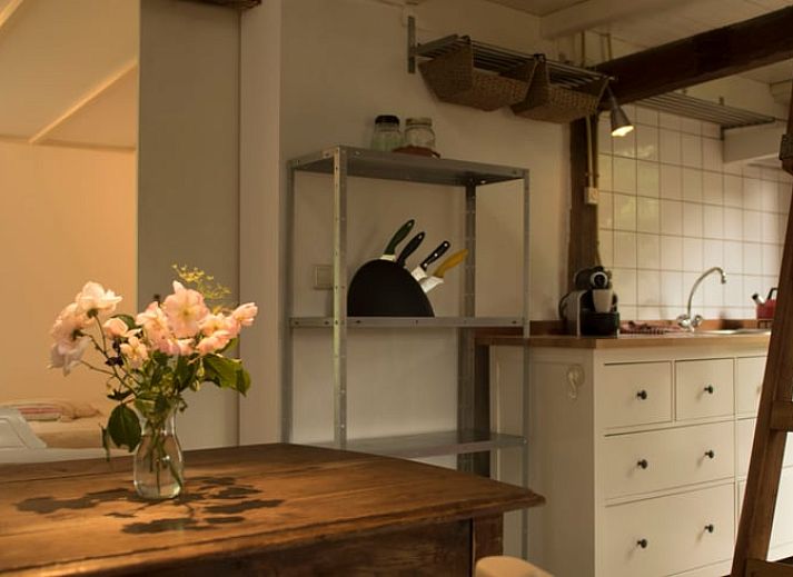 Vacation home in Haarlo surrounded by green nature in Achterhoek, Gelderland.