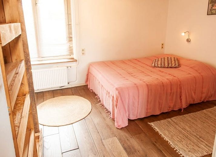 Flowering magnolia at Holiday Home in Haarlo, located in Achterhoek, Gelderland.