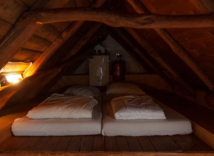 Flowering magnolia at Holiday Home in Haarlo, located in Achterhoek, Gelderland.