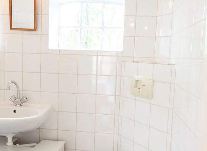 Flowering magnolia at Holiday Home in Haarlo, located in Achterhoek, Gelderland.