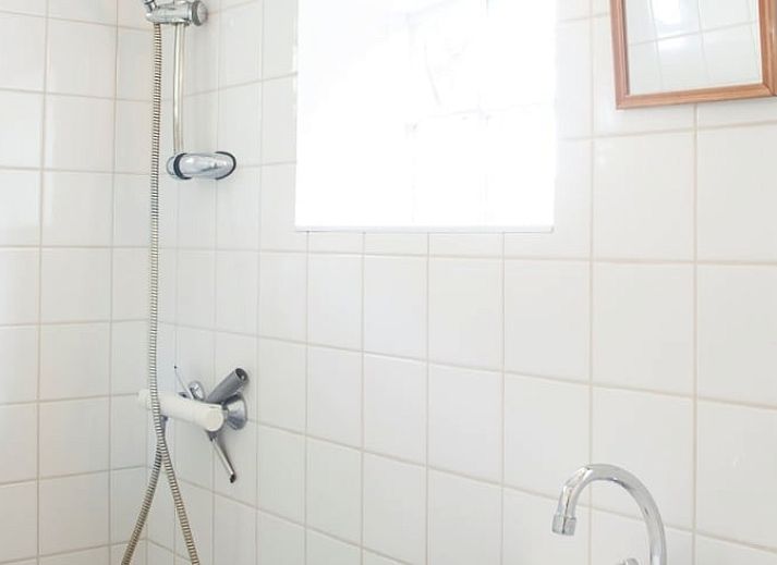 Flowering magnolia at Holiday Home in Haarlo, located in Achterhoek, Gelderland.