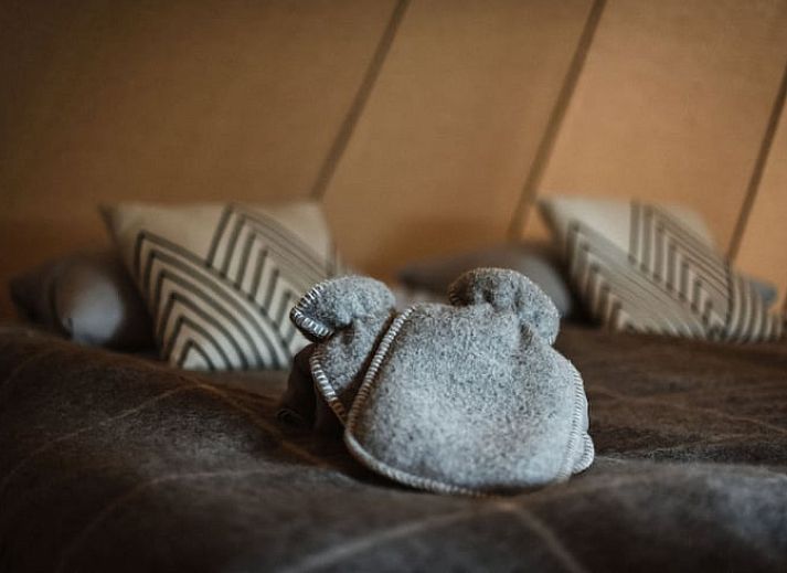 Guest house 293111 - Holiday property Achterhoek - Vakantiehuis in Haarlo