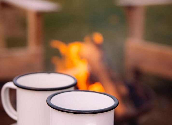 Guest house 293111 - Holiday property Achterhoek - Vakantiehuis in Haarlo