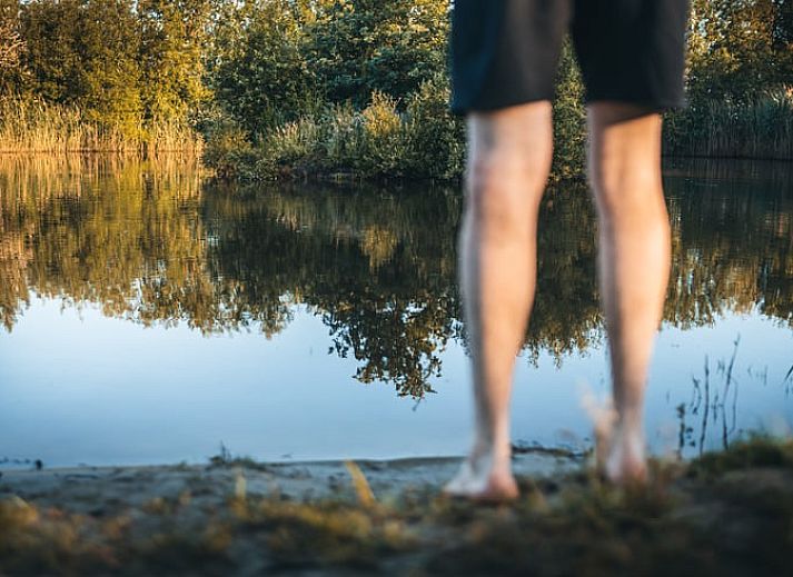 Guest house 293111 - Holiday property Achterhoek - Vakantiehuis in Haarlo