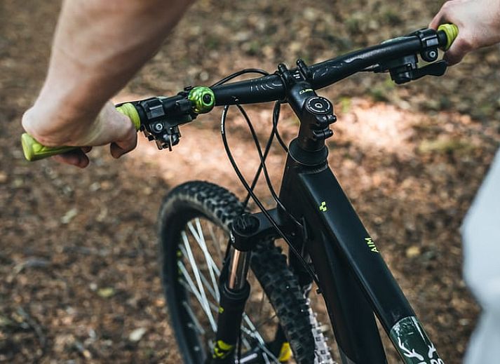 Guest house 293111 - Holiday property Achterhoek - Vakantiehuis in Haarlo